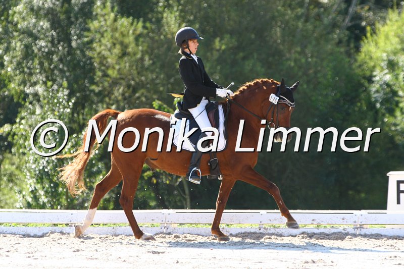 109M6718_Fruehlingstraum_Dressur L_Mannschaft.JPG